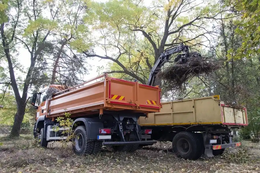 How Hauling Services Help Manage Heavy And Bulk Waste Removal Desert Hot Springs, CA How Hauling Services Help Manage Heavy And Bulk Waste Removal Desert Hot Springs, CA