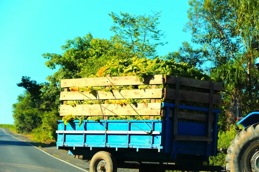 How Hauling Services Help Manage Heavy And Bulk Waste Removal in Desert Hot Springs, CA How Hauling Services Help Manage Heavy And Bulk Waste Removal in Desert Hot Springs, CA